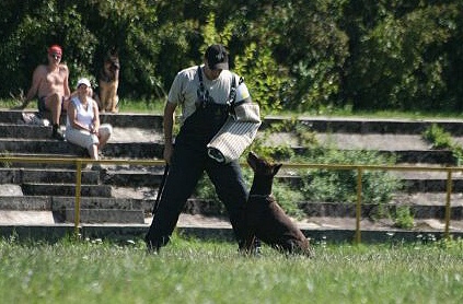 Estonian championship 2007 in IPO 3